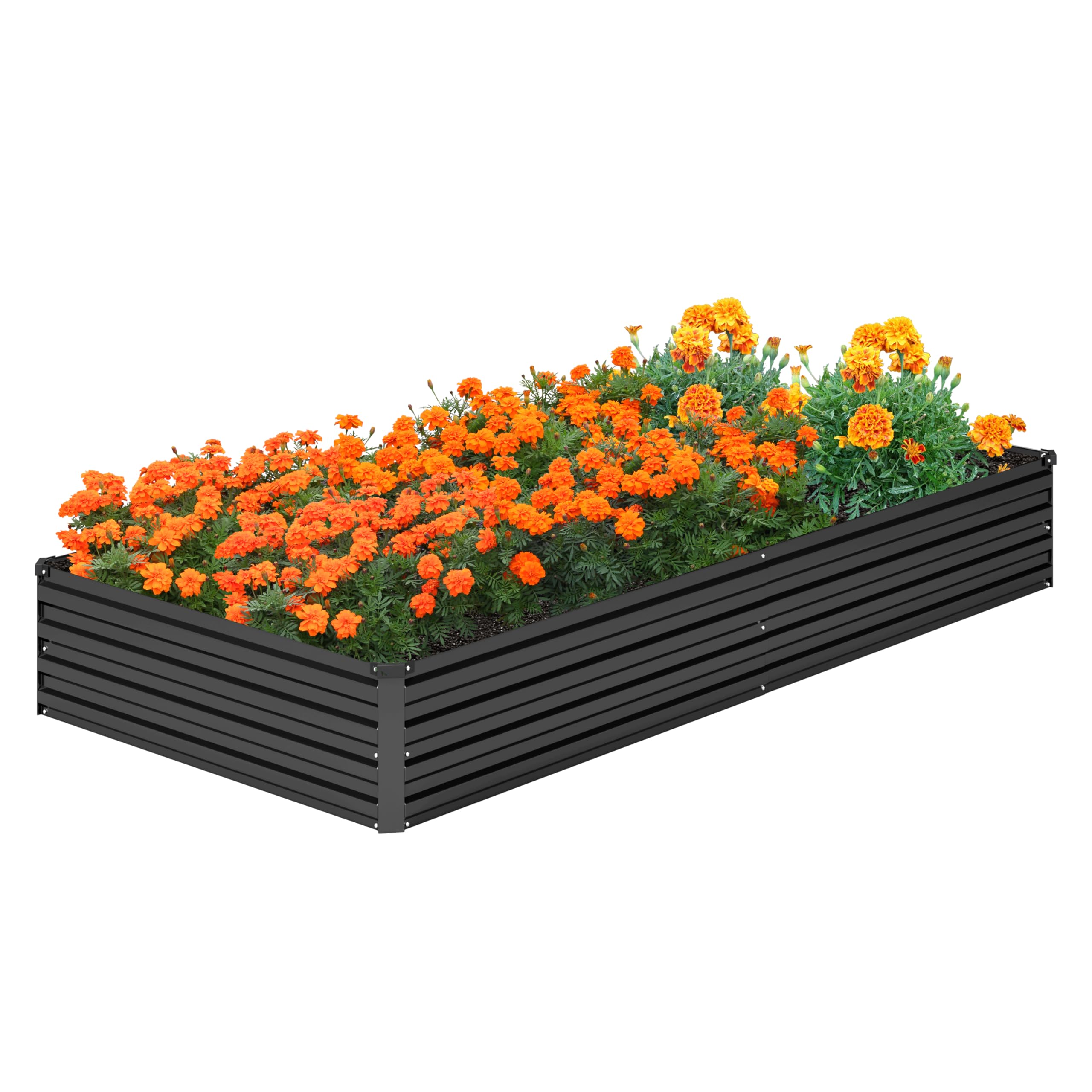 DIIYIV lifestyle backyard scene showing easy urban gardening setup
