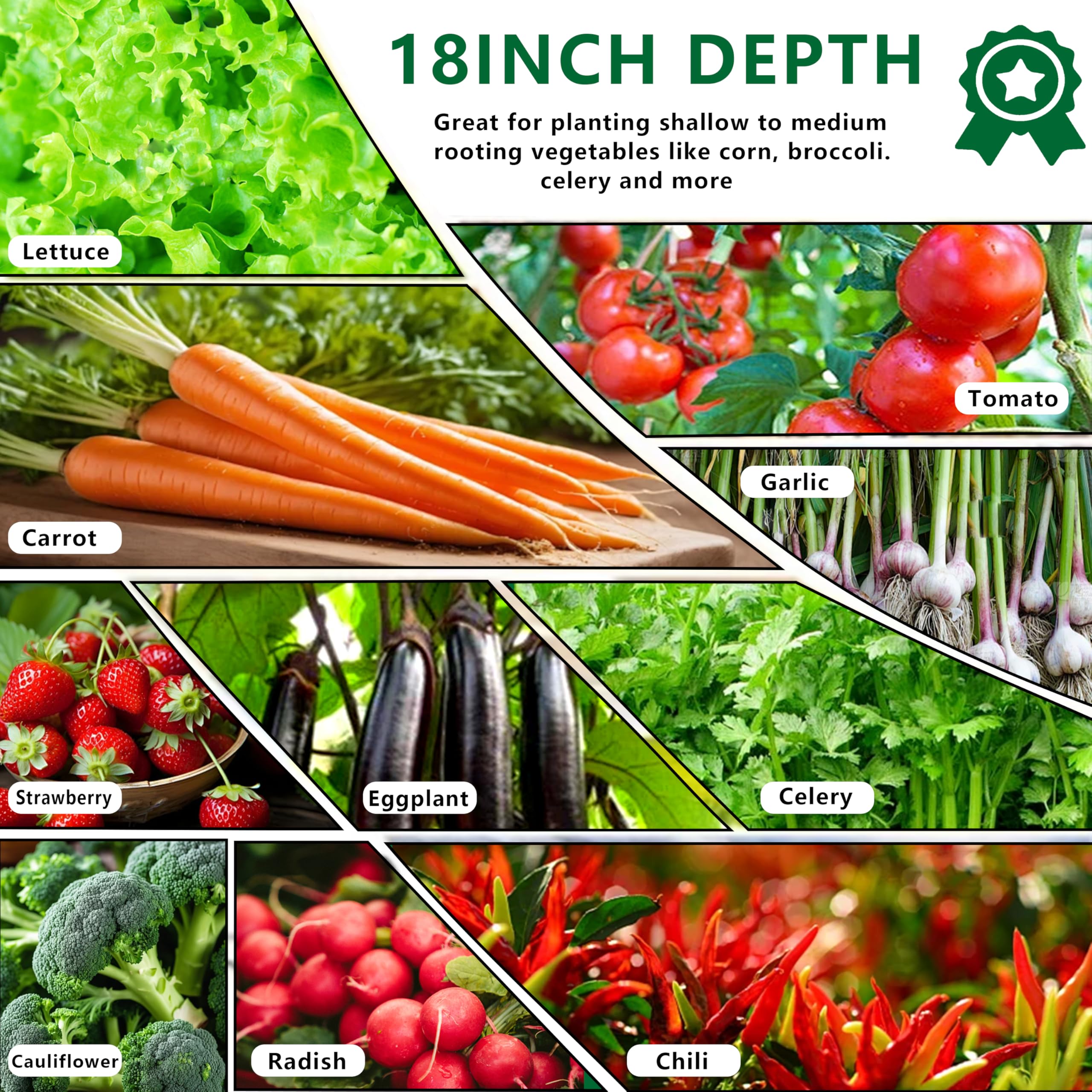 DIIYIV raised bed next to a human for scale showing large 144-inch length benefit