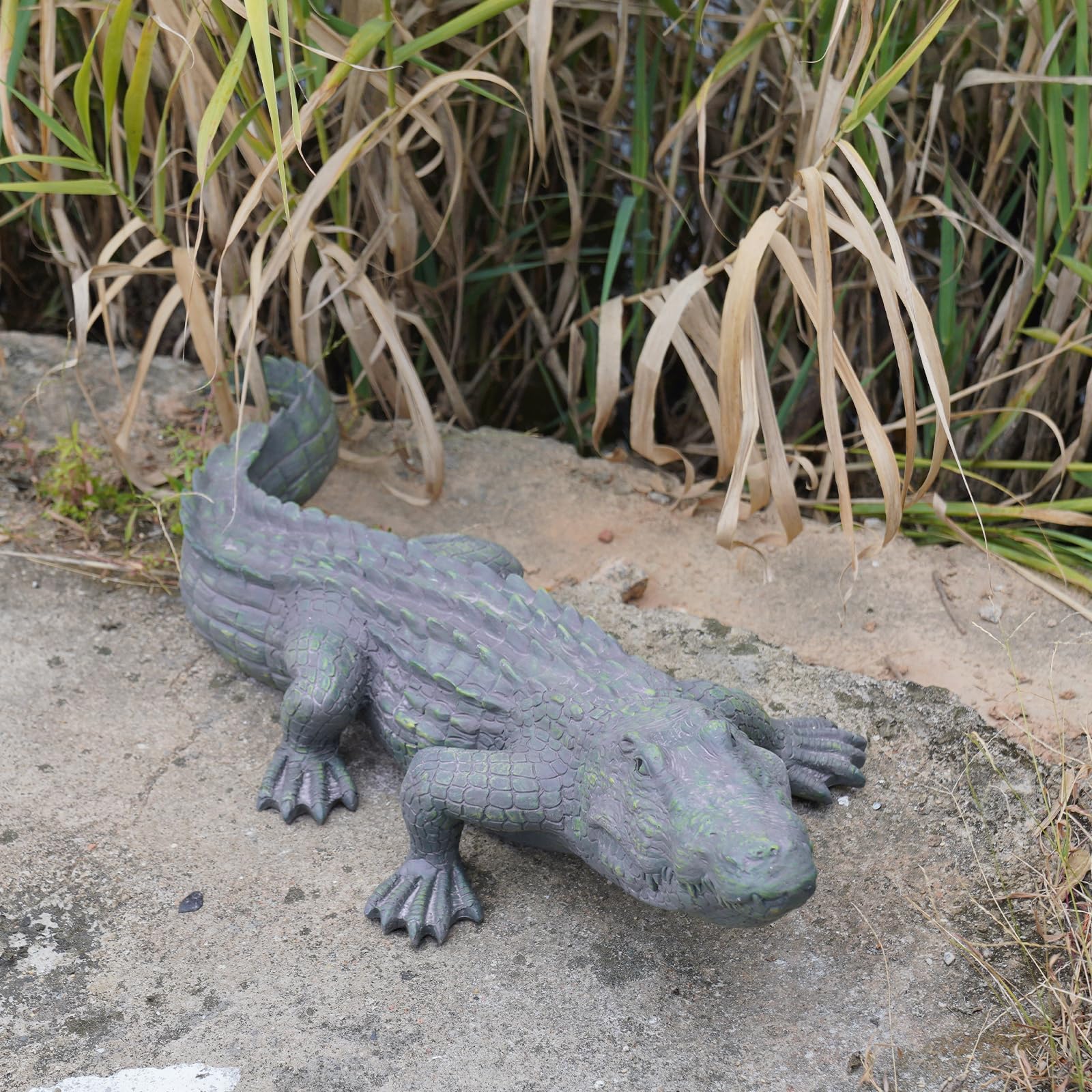 DiliComing alligator by pond creating natural habitat accent and visual cohesion