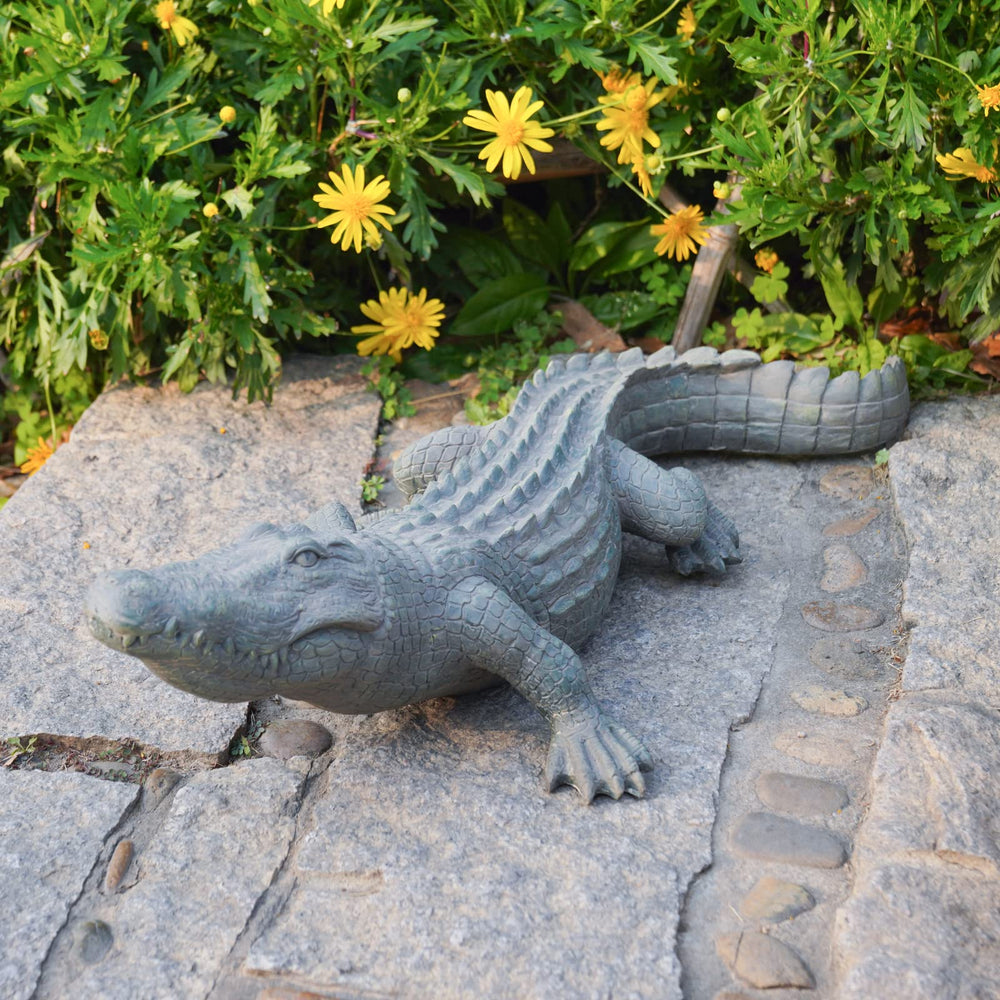 DiliComing alligator front view showing realistic pose and eye-catching detail