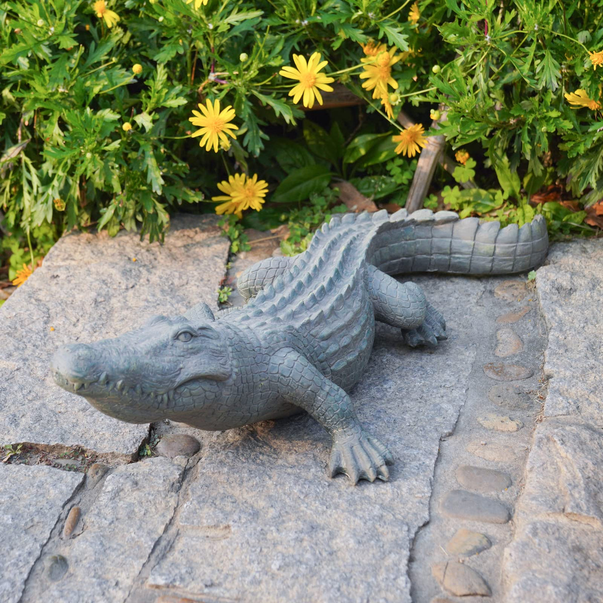 DiliComing alligator front view showing realistic pose and eye-catching detail