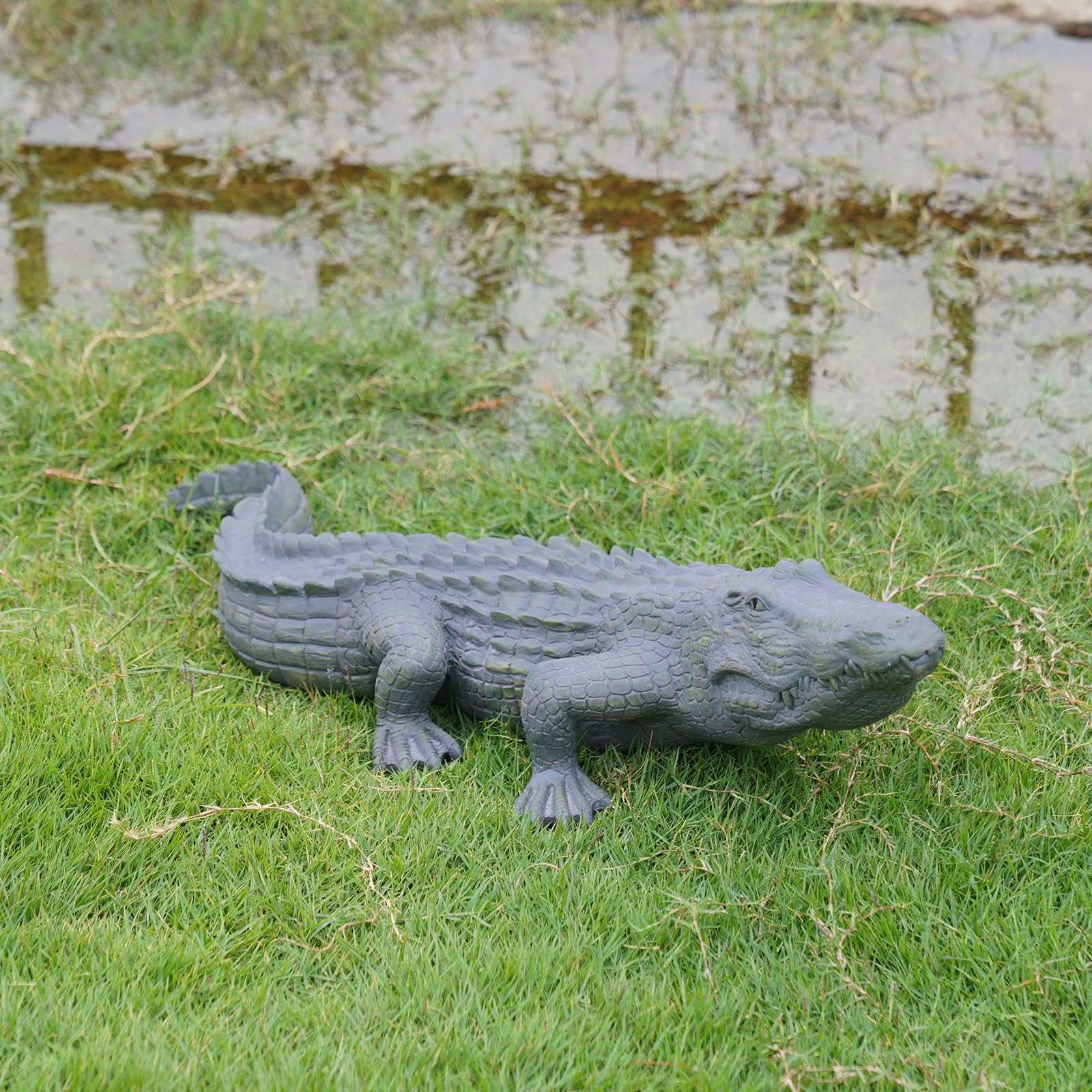 DiliComing alligator in garden setting adding surprise focal point benefit