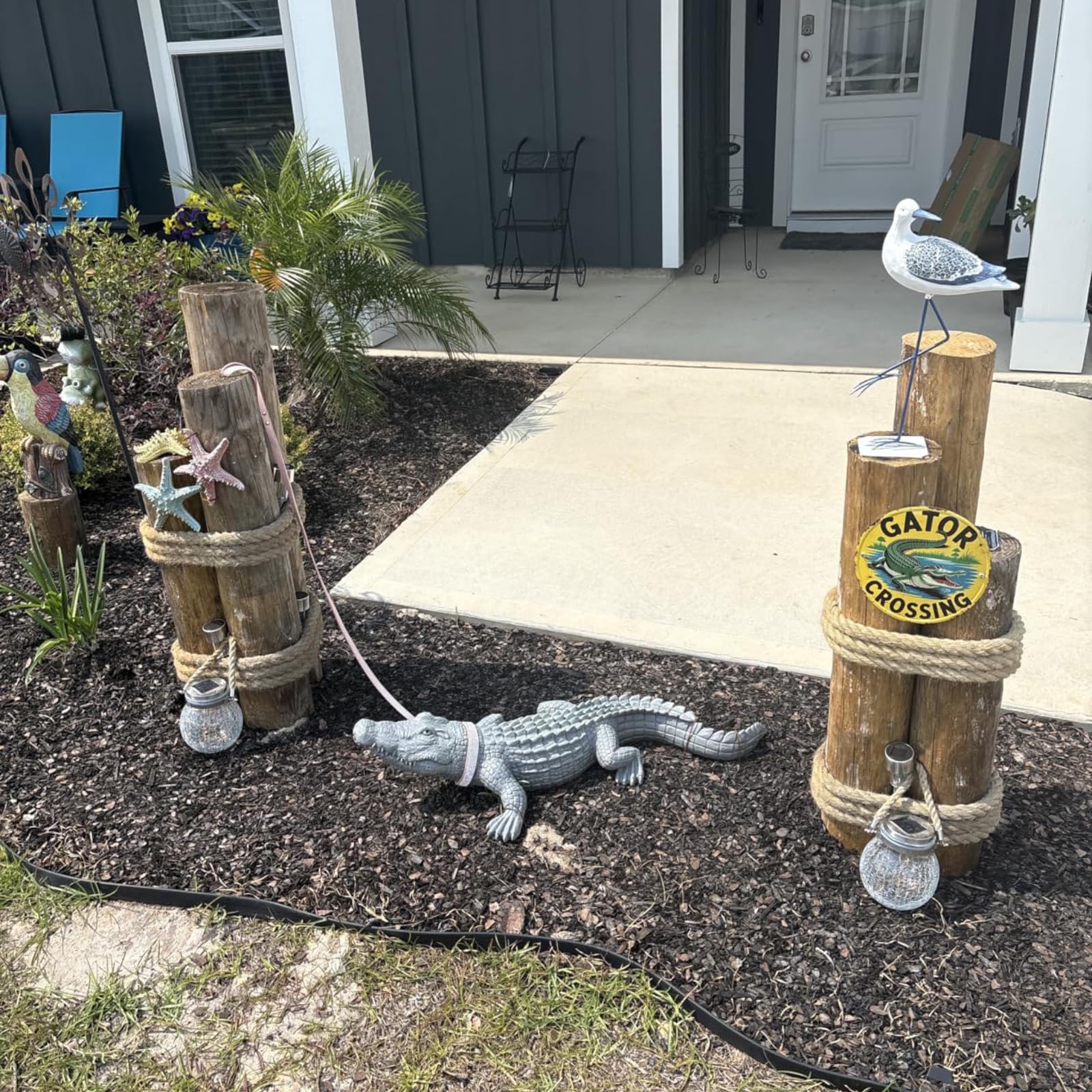 DiliComing alligator indoor styling on porch delivering conversation-starting charm