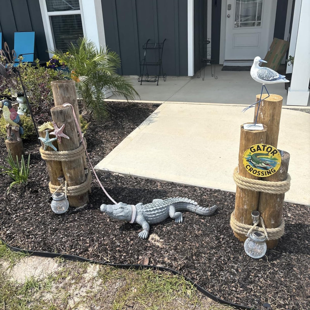 DiliComing alligator indoor styling on porch delivering conversation-starting charm