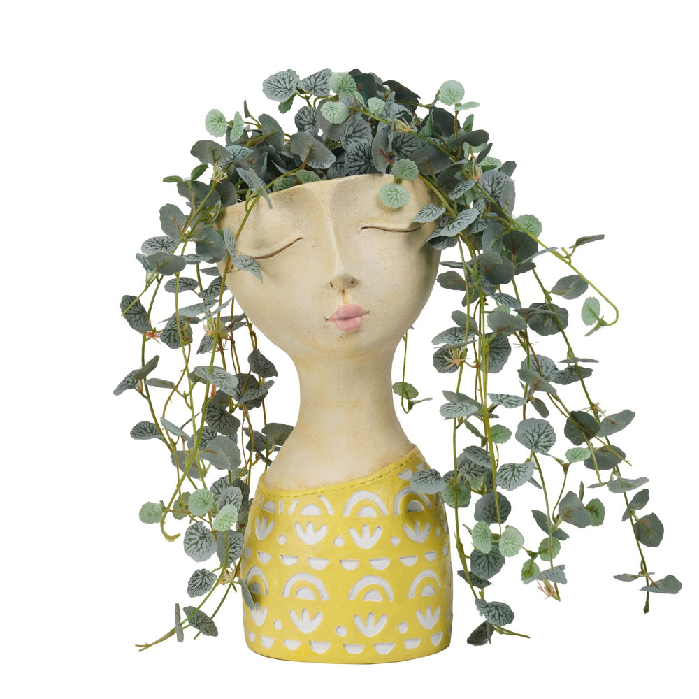 DiliComing front view face planter showing sculptural décor and easy placement benefit