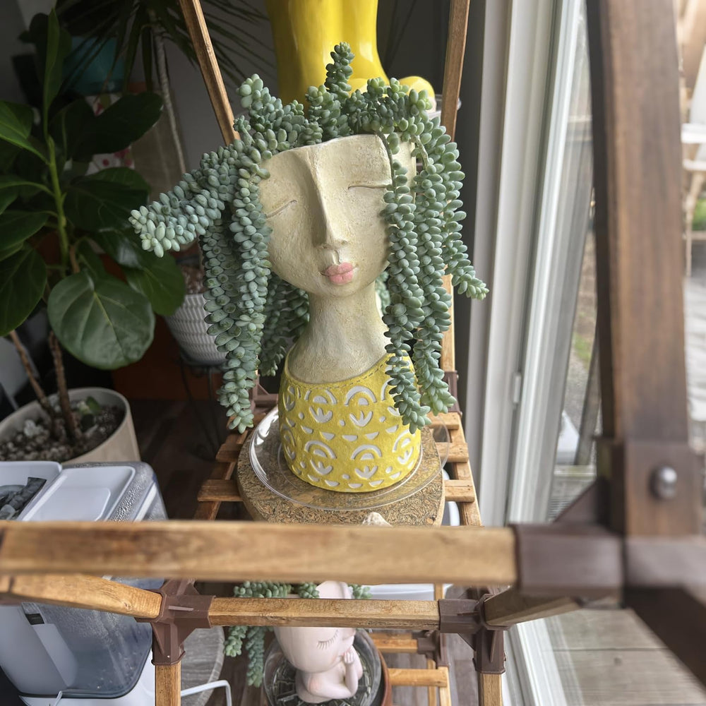 DiliComing planter on shelf in living room showing decorative accent and space-saving benefit