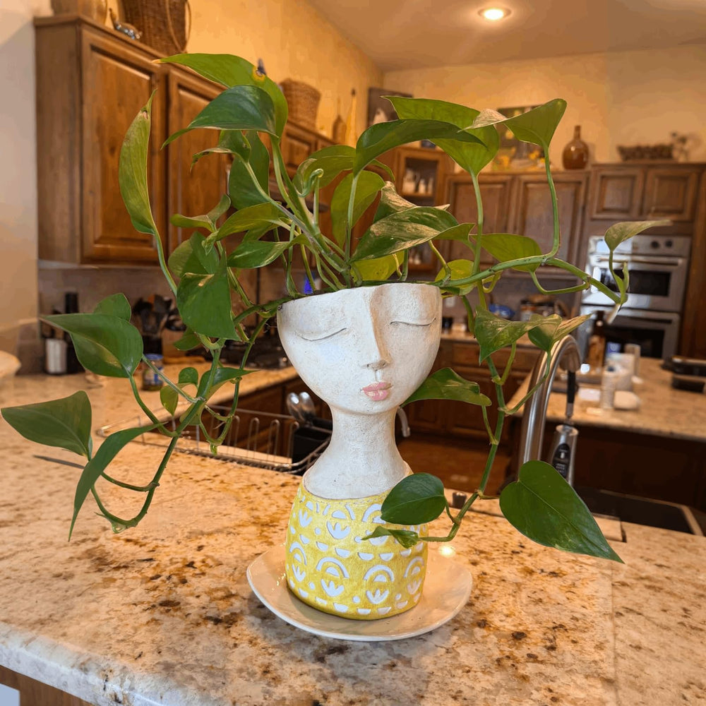 DiliComing side profile of head planter demonstrating lightweight durable resin benefit