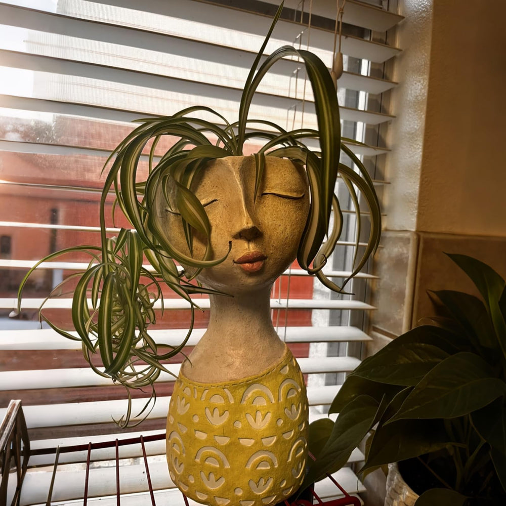 DiliComing planter beside a coffee mug showing 11 inch scale for sizing clarity benefit