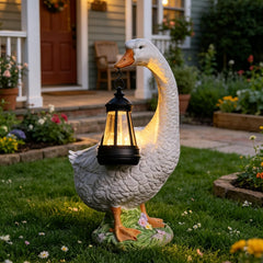 DiliComing lantern close-up showing solar-lit decorative detail
