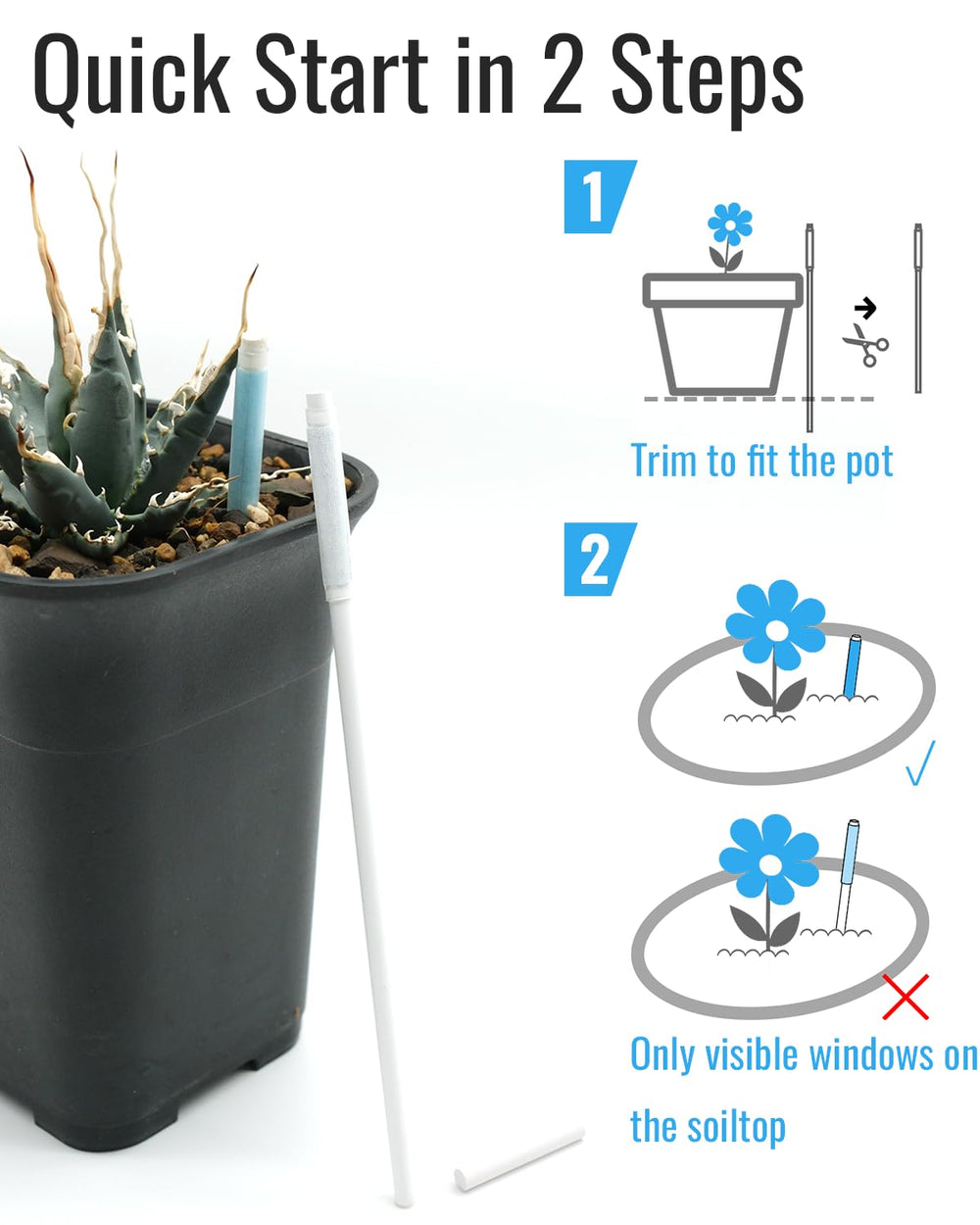 DILIGROW probe inserted in succulent pot demonstrating gentle monitoring without root damage