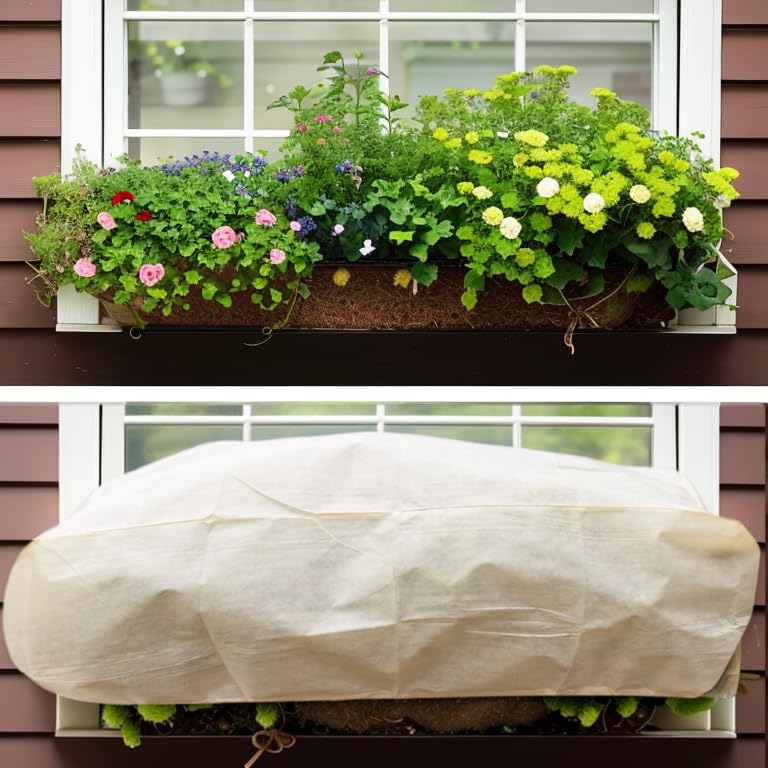 DINGBAI size comparison next to a ruler showing fit for long planters