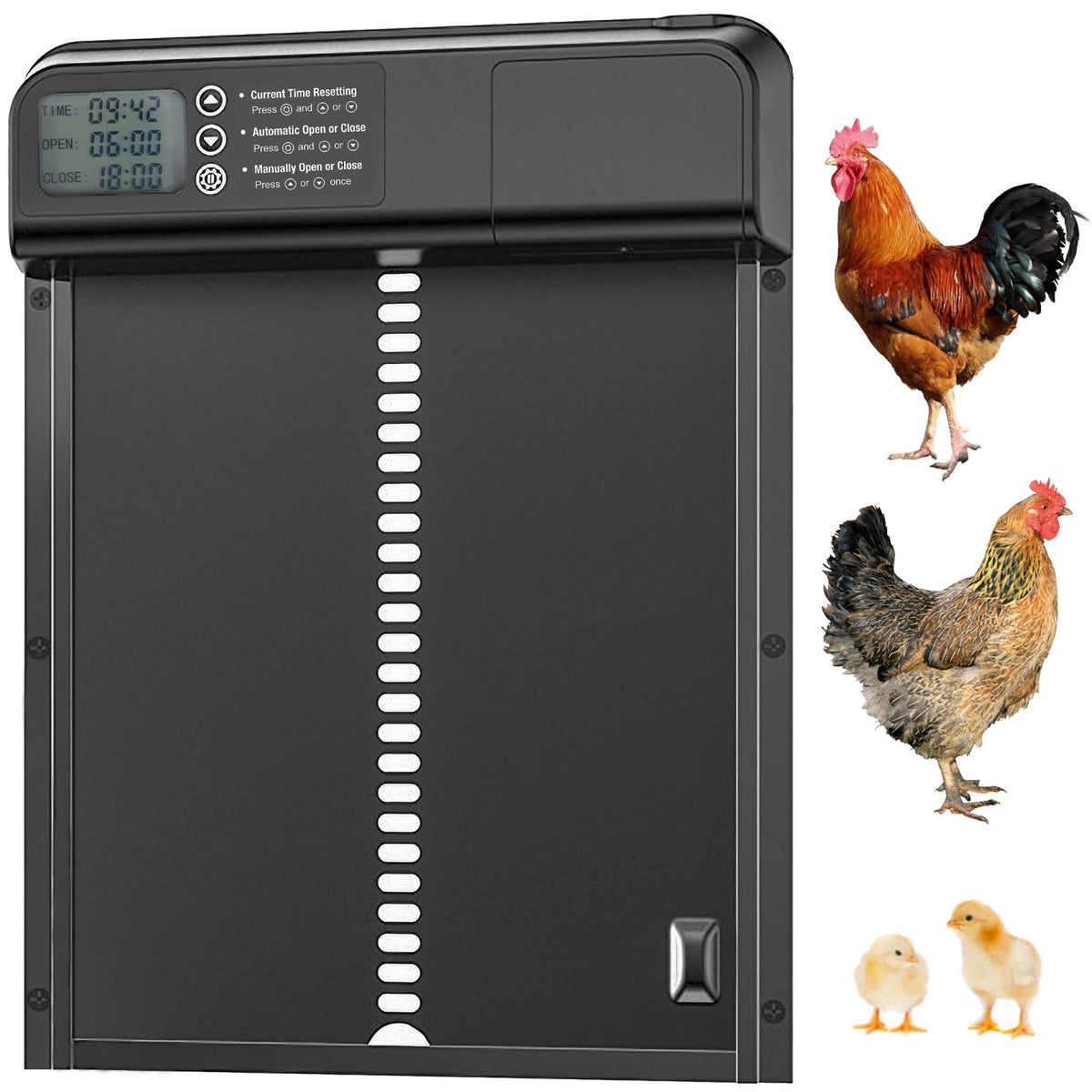 DINSLIA front view of automatic chicken coop door showing sturdy build and easy access