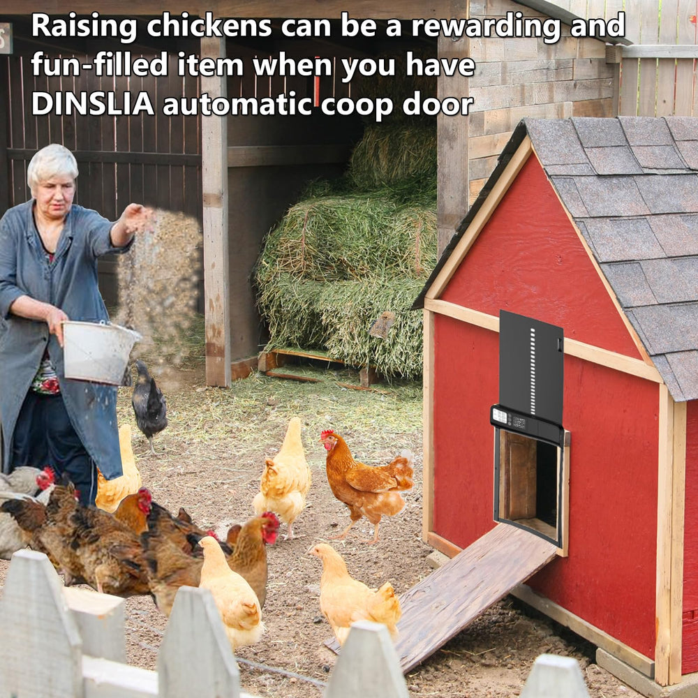 DINSLIA door size comparison next to hens illustrating large opening and fit