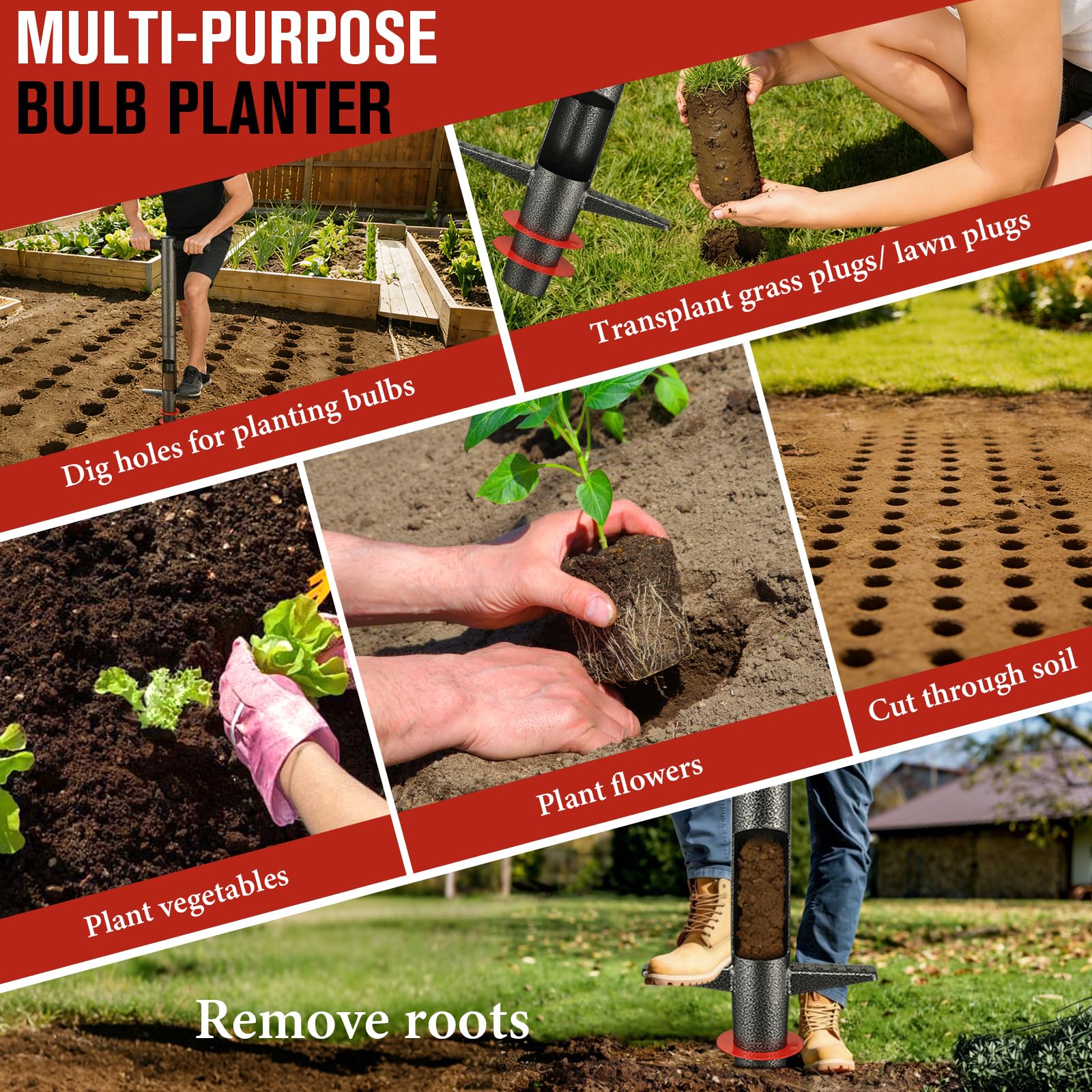 DIOVPLX planting in use showing upright planting and reduced bending