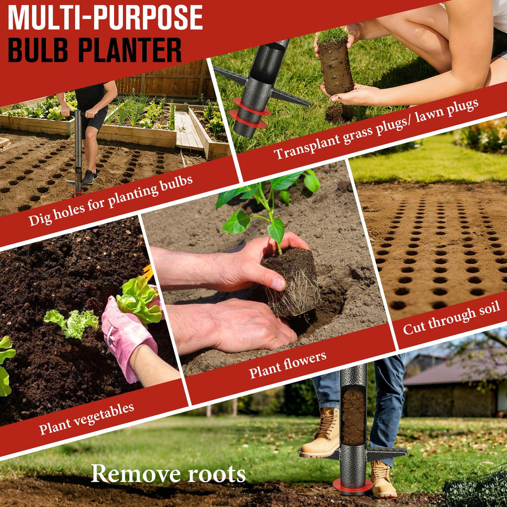 DIOVPLX planting in use showing upright planting and reduced bending