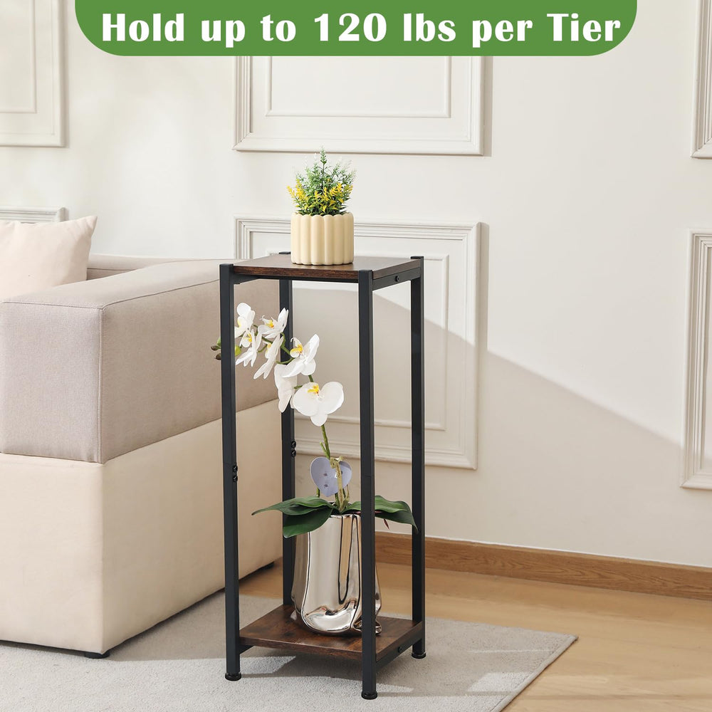 Dipion in styled living room displaying how it elevates large plants