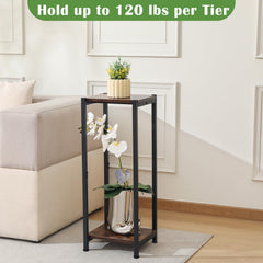 Dipion in styled living room displaying how it elevates large plants