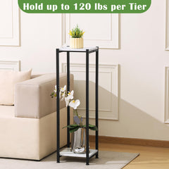 Dipion styled in living room corner with tall plant, provides vertical greenery without crowding