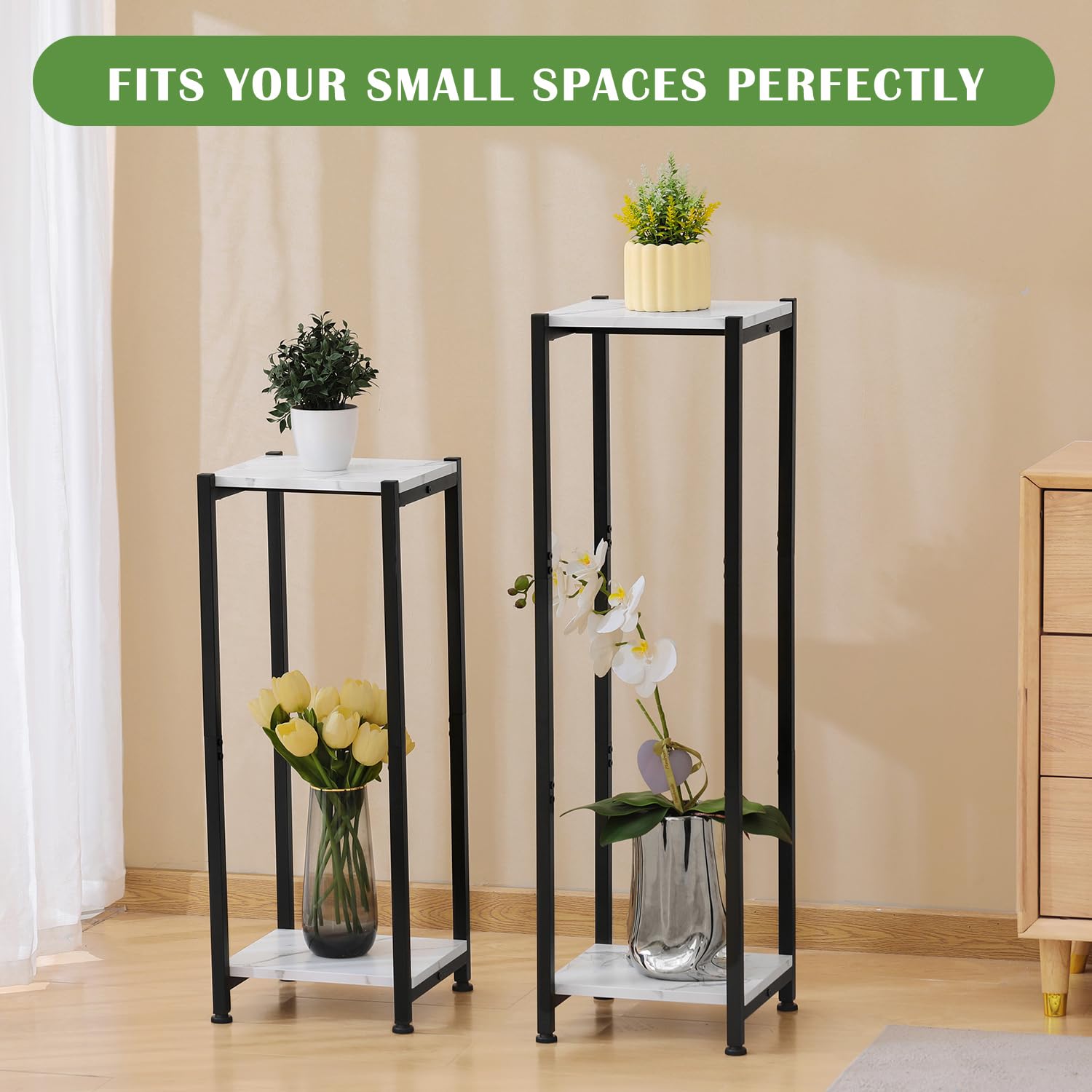 Dipion next to a large potted plant for scale, illustrates compact footprint and tall display height