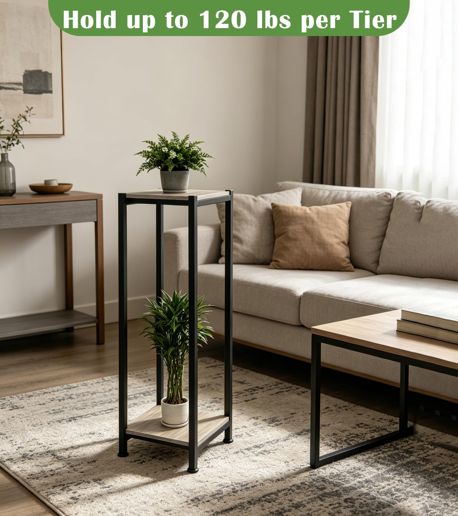 Dipion plant stand by window with tall plants illustrating space-saving display benefit