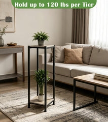 Dipion plant stand by window with tall plants illustrating space-saving display benefit