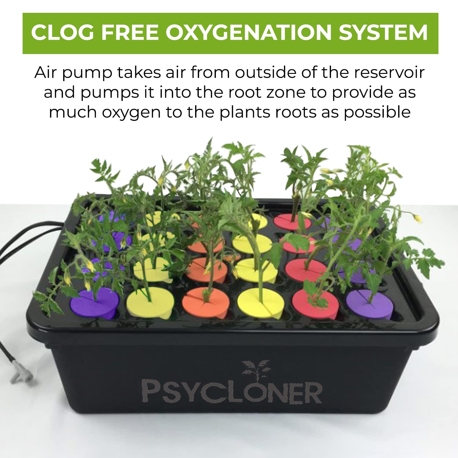 DL Wholesale Psycloner with plant cuttings in tray showing organized propagation workflow