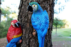 Dlfghos parrot hung on tree demonstrating outdoor-ready durability