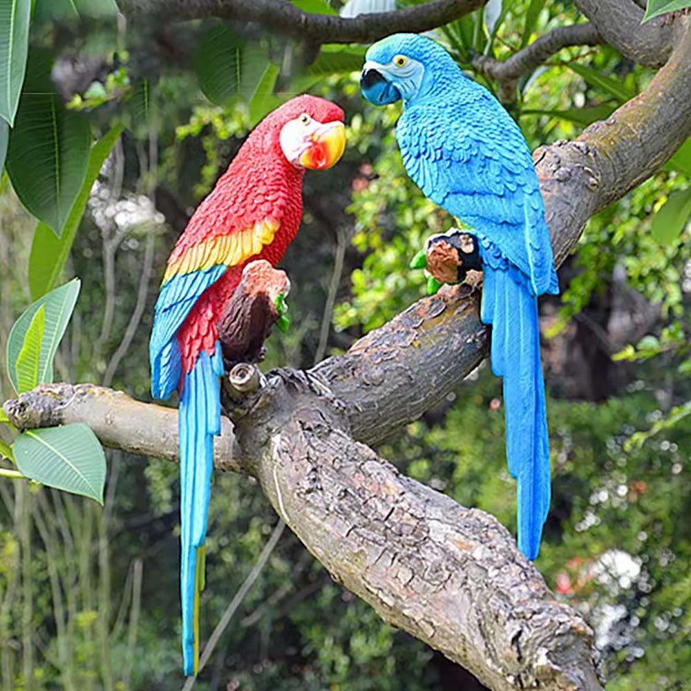 Dlfghos parrot next to ruler for scale showing 12.5 inch size