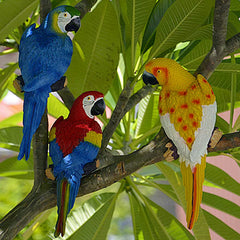 Dlfghos parrot side profile showing beak shape and sculpted posture