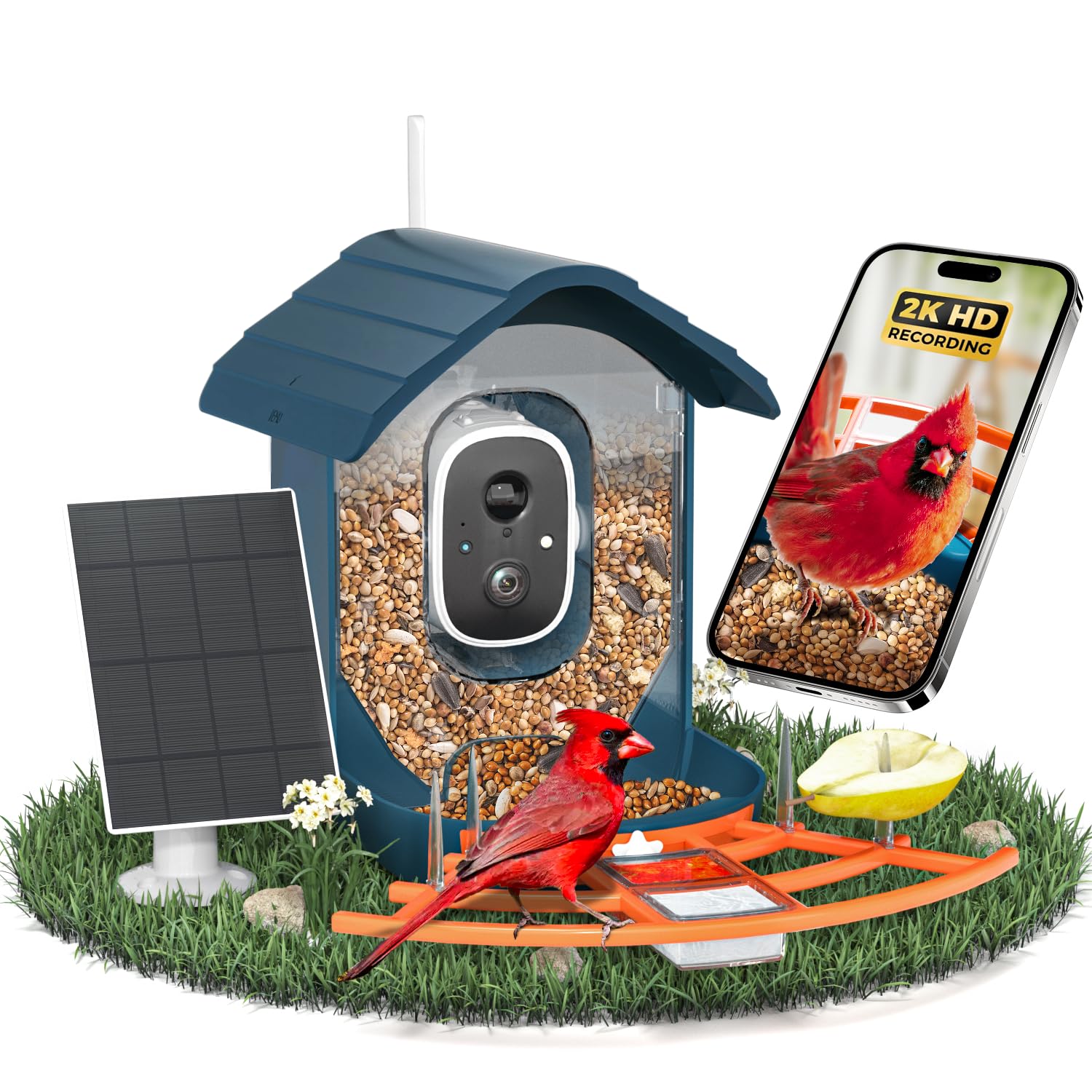 DOCOON front view showing feeder and camera for easy monitoring