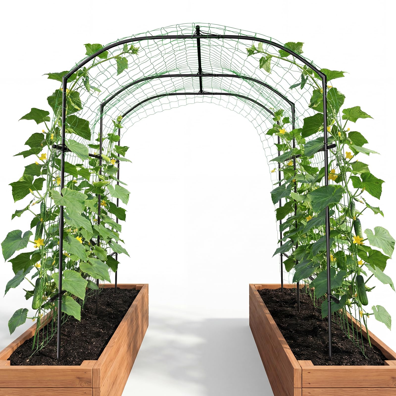 DoCred front view of arch trellis showing elegant garden entry benefit