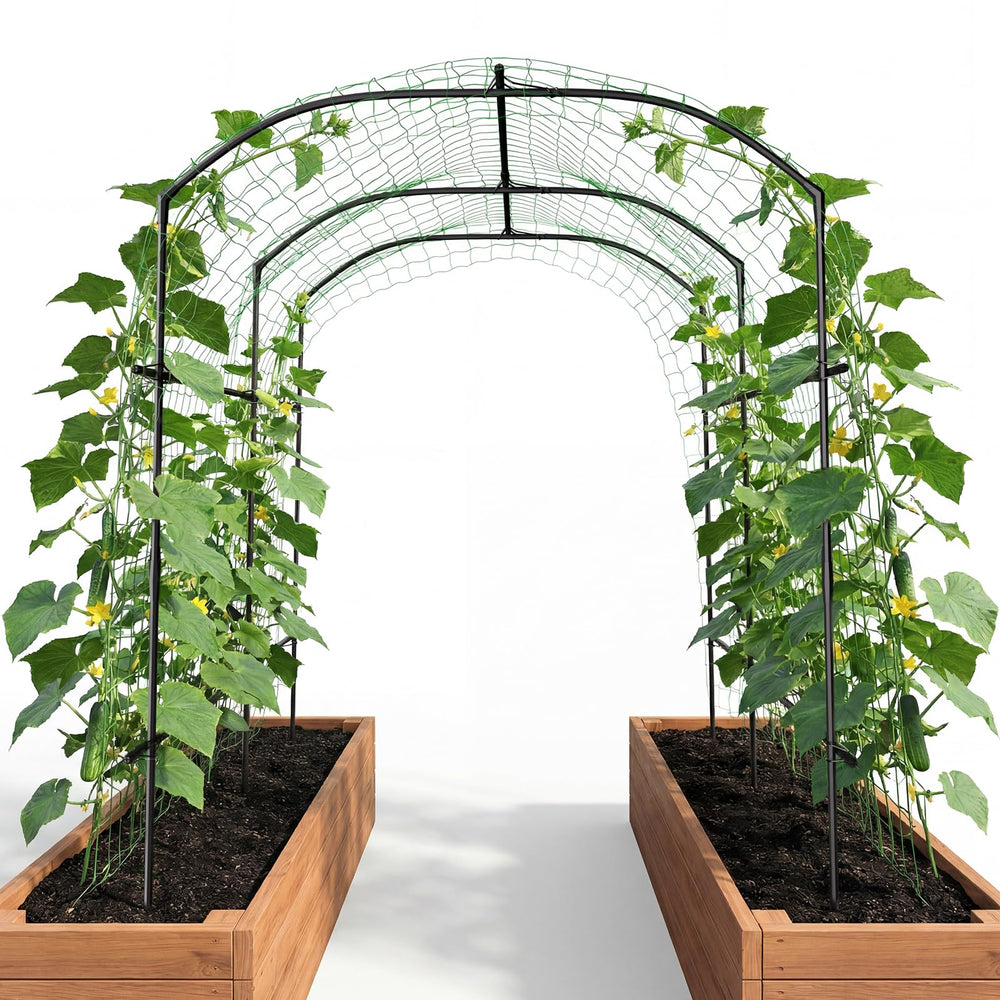 DoCred front view of arch trellis showing elegant garden entry benefit