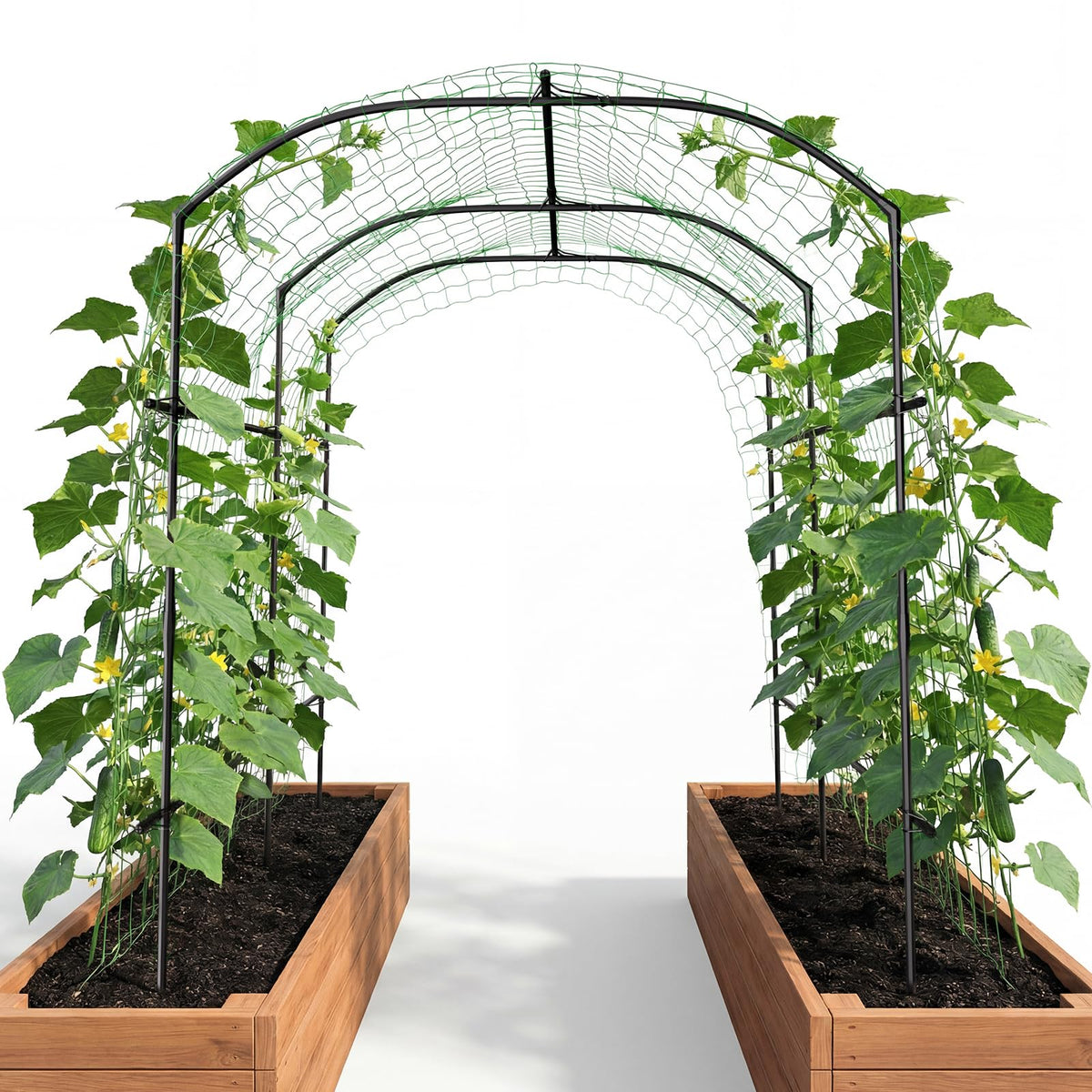 DoCred front view of arch trellis showing elegant garden entry benefit