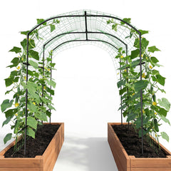 DoCred front view of arch trellis showing elegant garden entry benefit