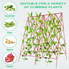 DoCred trellis with cucumber vines climbing showing easier harvesting and healthier foliage