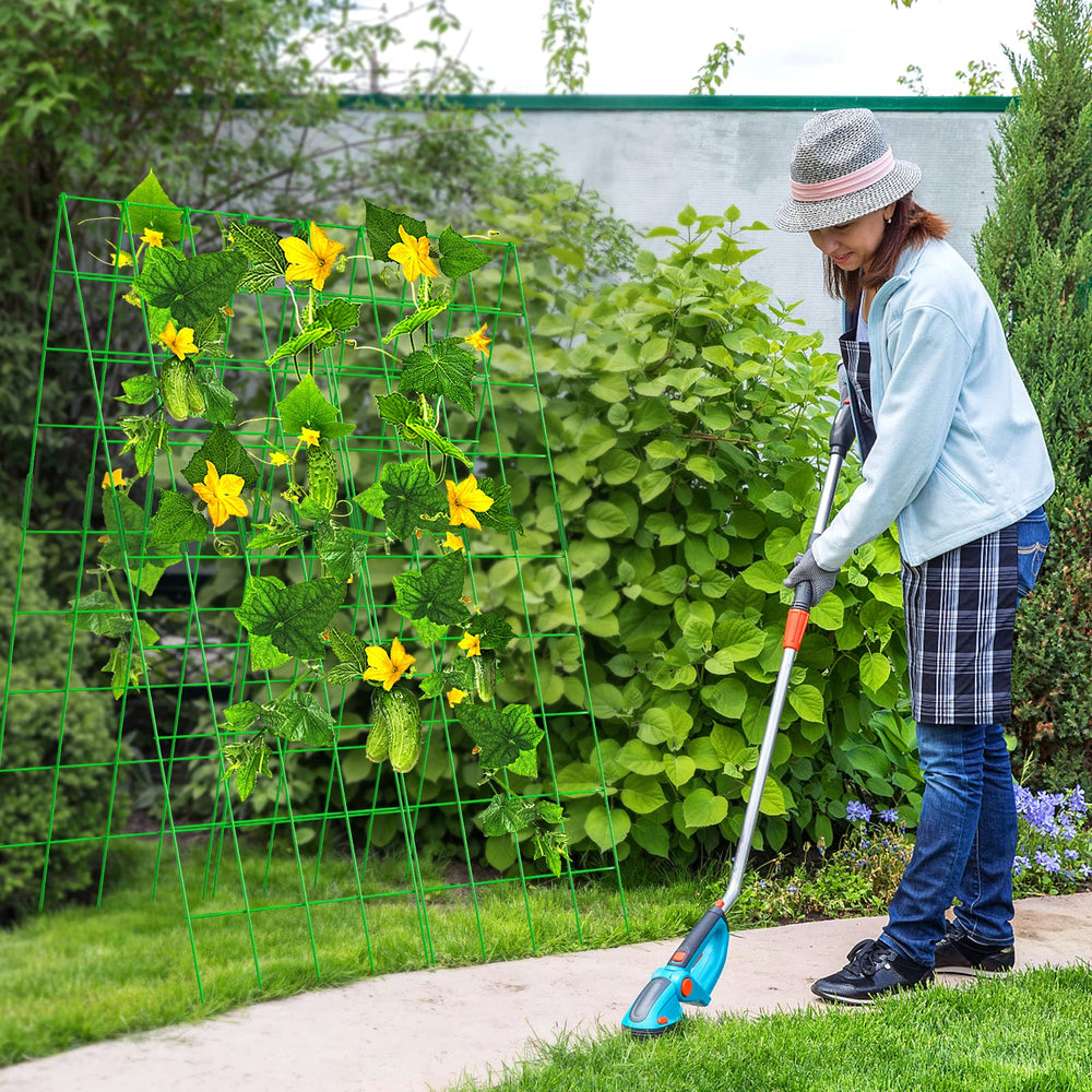 DoCred trellis used in patio container maximizing limited urban garden space