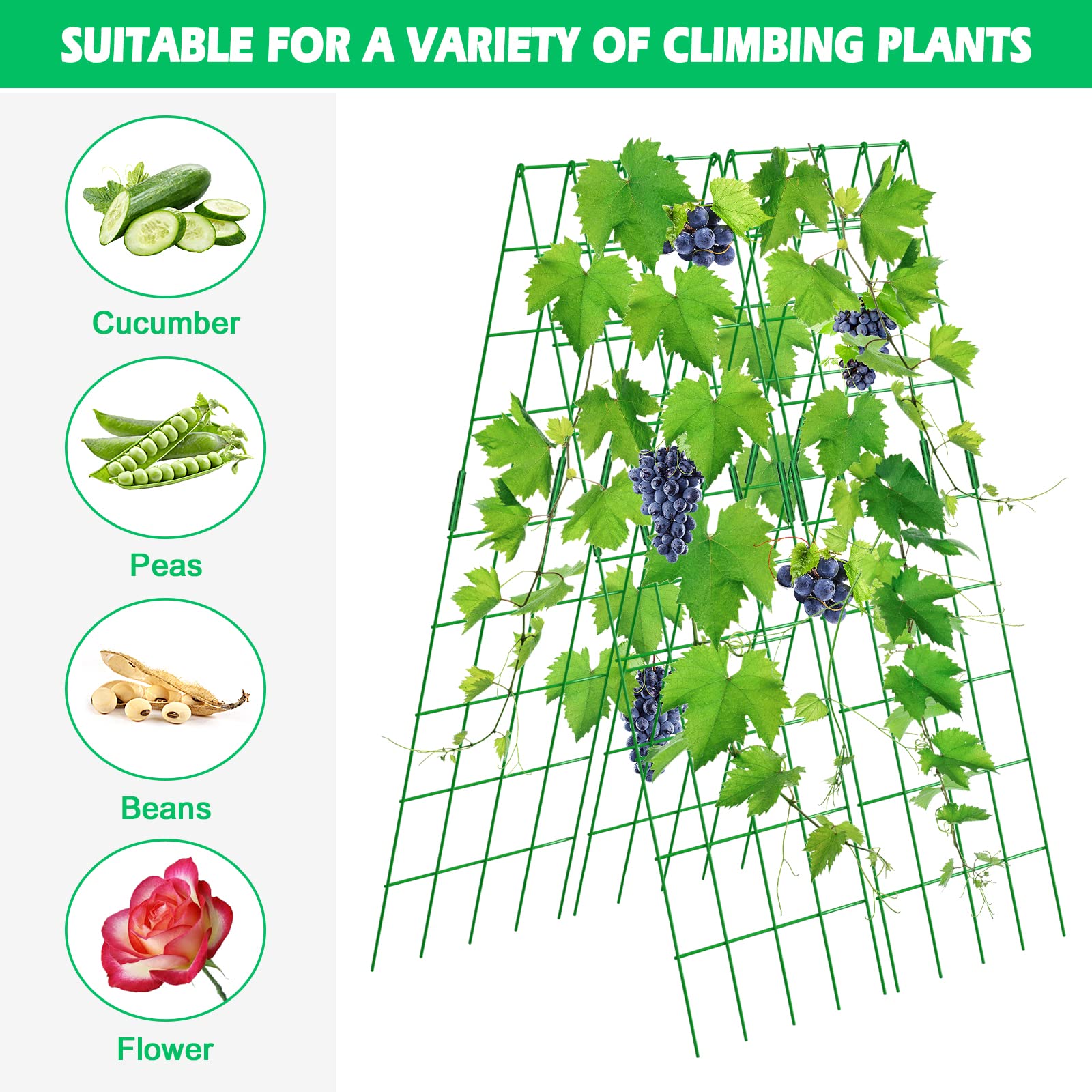 DoCred two trellis packs creating wider growing corridor for more crops