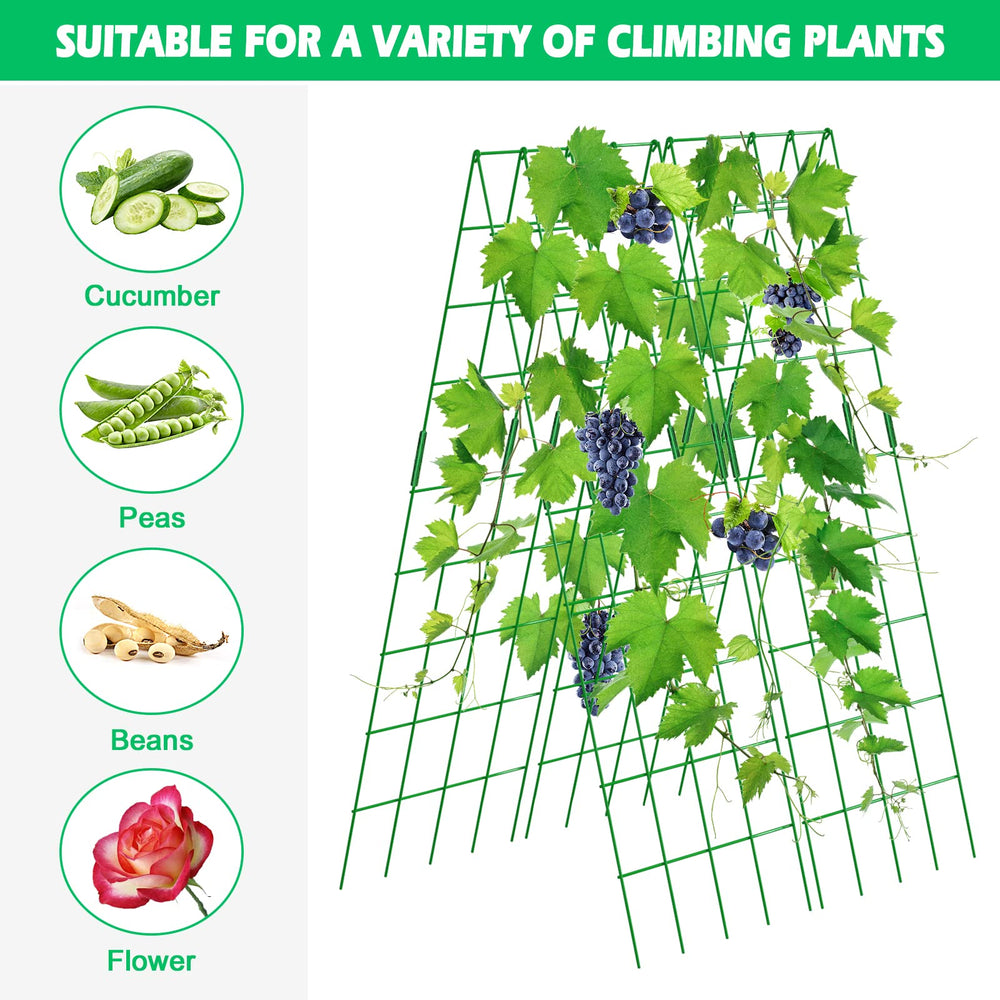 DoCred two trellis packs creating wider growing corridor for more crops