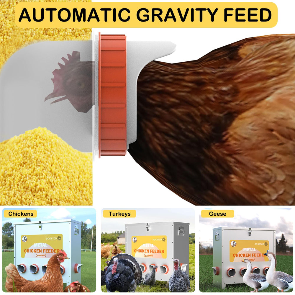 Dogetgd feeder next to 85 lb feed bag showing large-capacity time-saving benefit