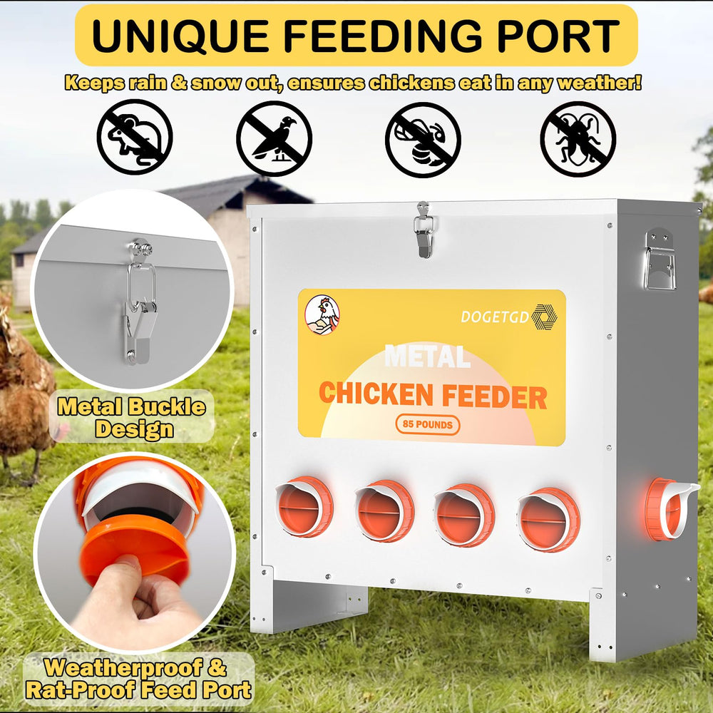 Dogetgd close-up of six ports allowing multiple birds to feed without crowding