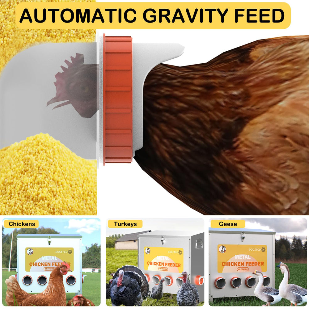 Dogetgd feeder beside a bucket to show 85 lb capacity scale advantage