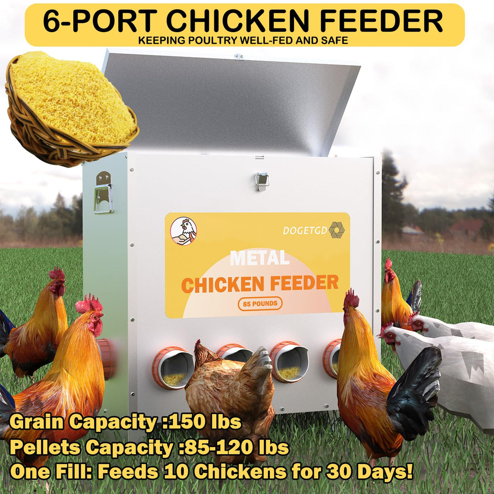 Dogetgd wide hopper top open for fast refills and weather protection benefit