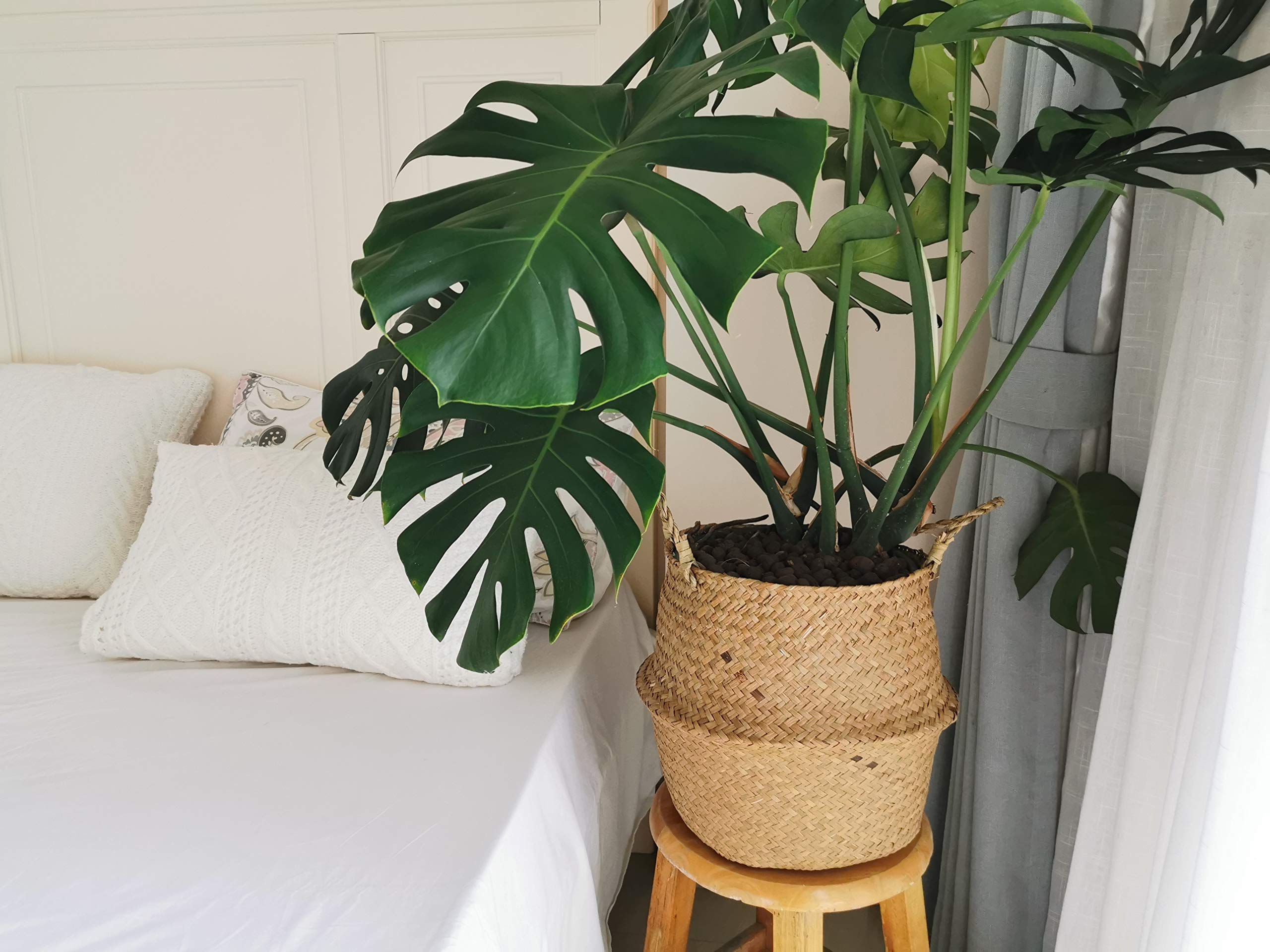 DOKOT basket with potted plant showing decorative concealment benefit