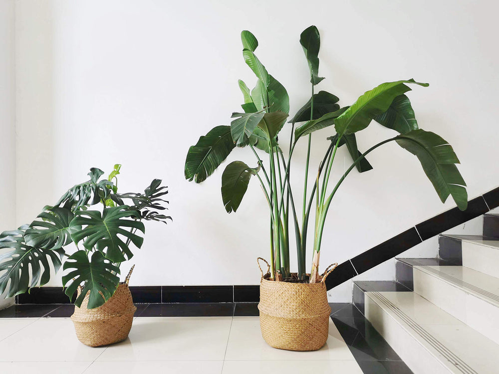 DOKOT close-up weave texture highlighting handcrafted seagrass durability