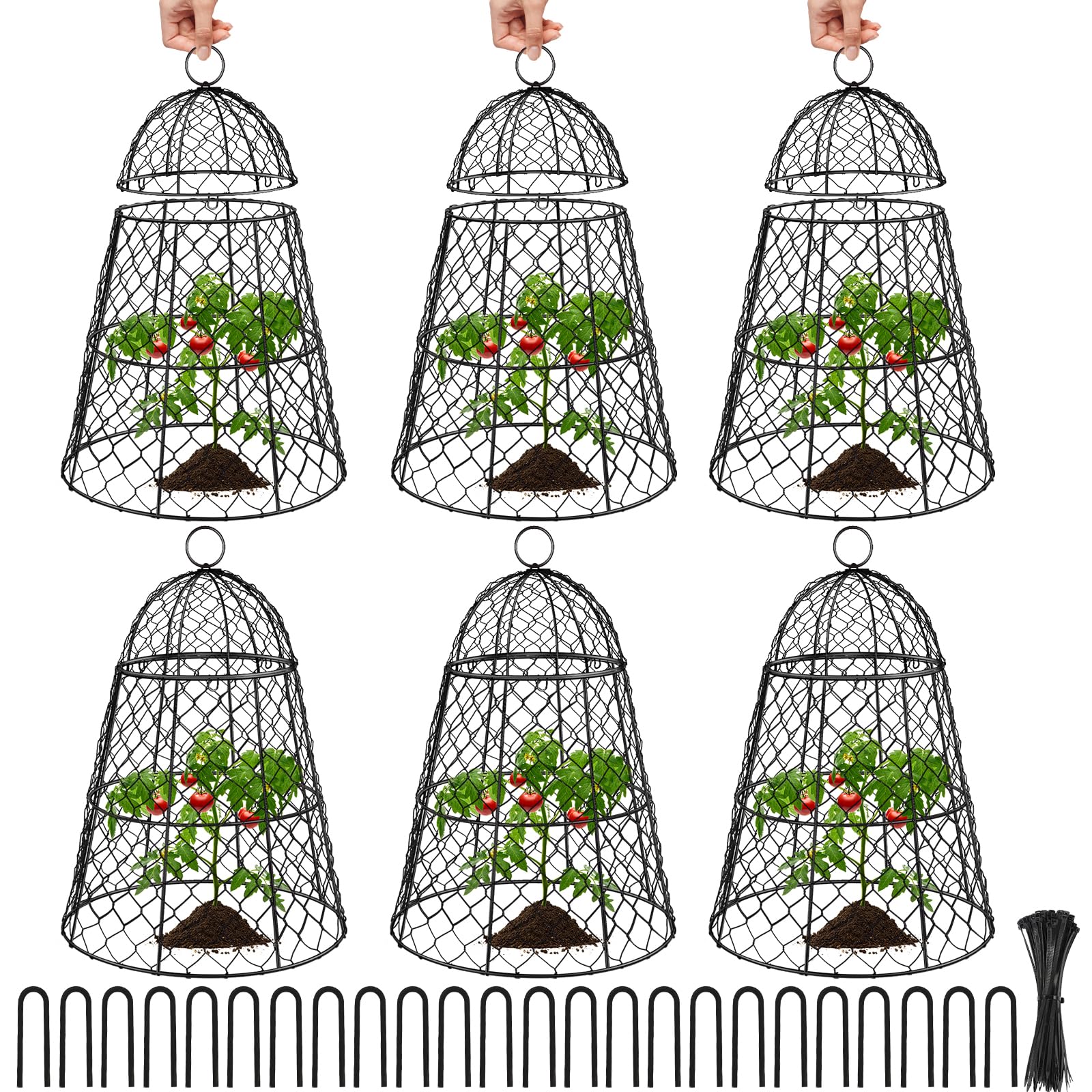 Doksving front view of six cloches protecting garden plants and offering clear coverage