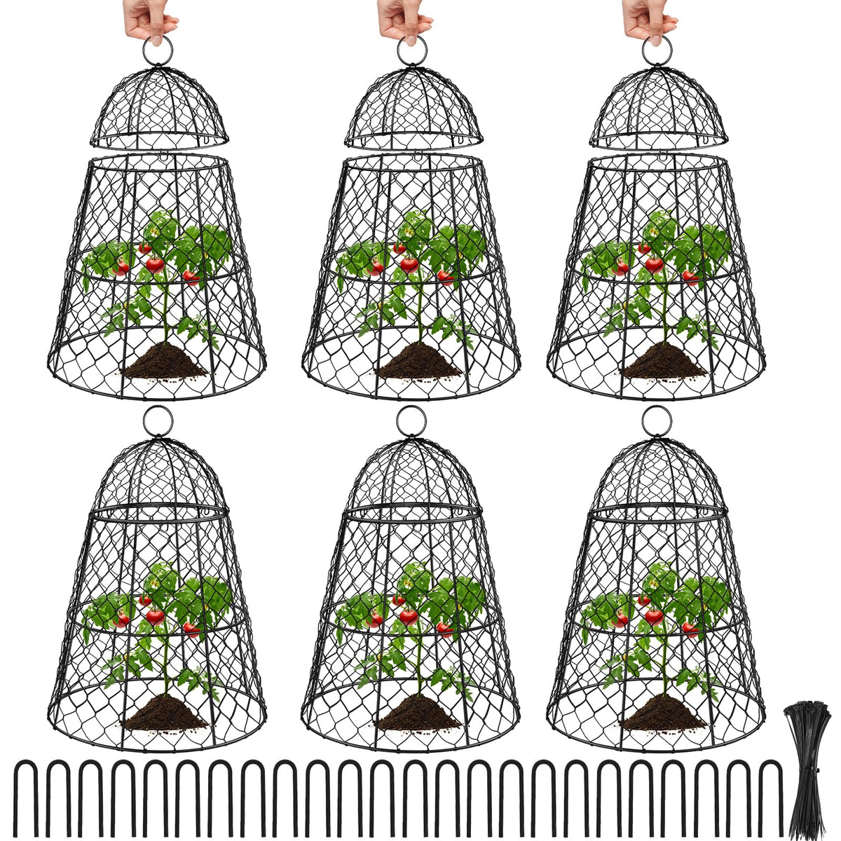 Doksving front view of six cloches protecting garden plants and offering clear coverage