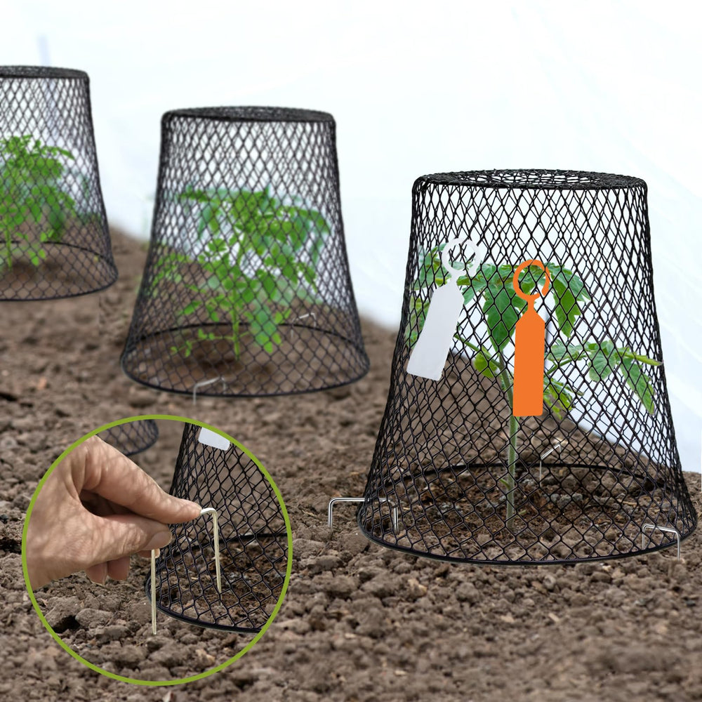 Doksving guards arranged in a garden setting protecting young vegetable plants