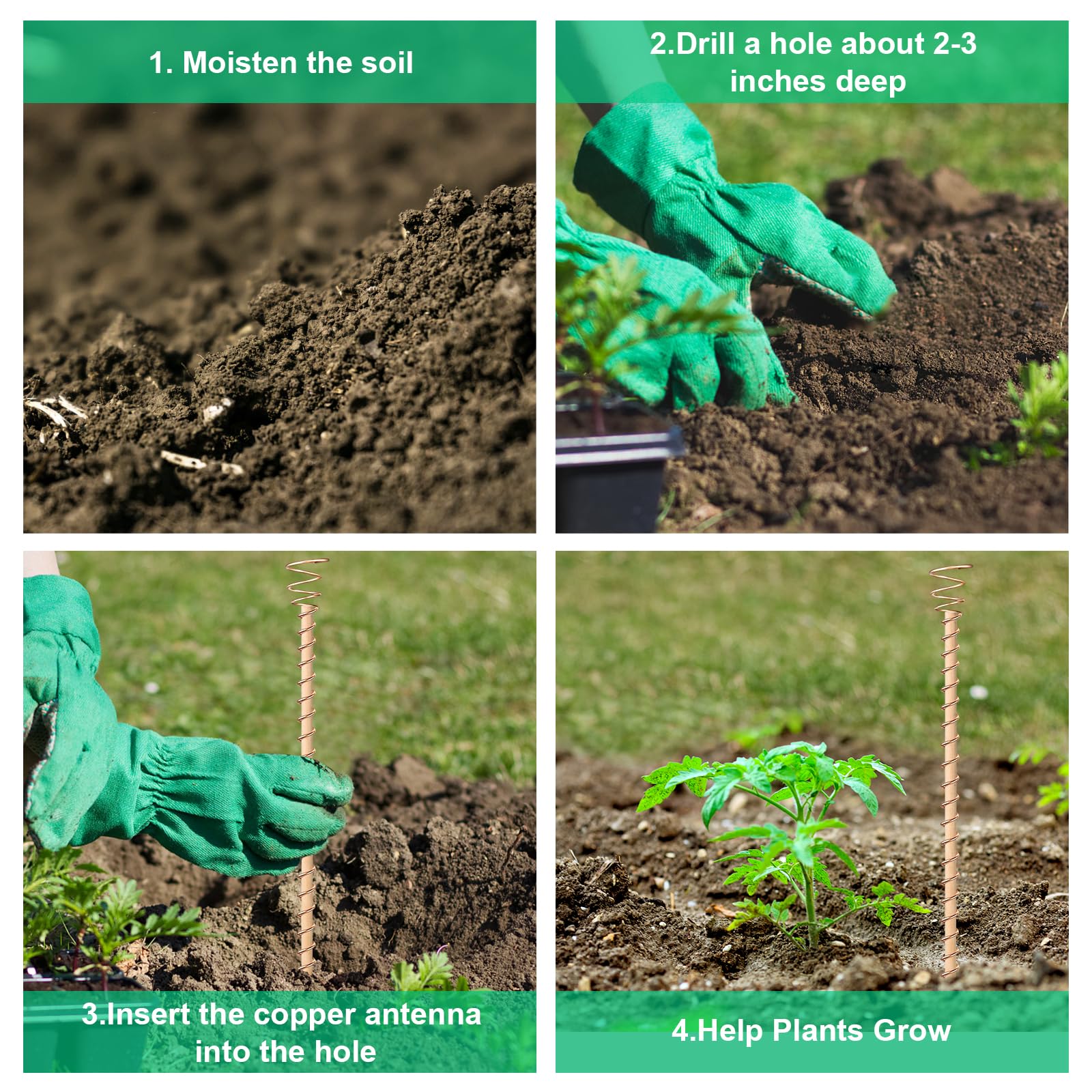 Doksving stake inserted in pot near roots demonstrating easy installation benefit