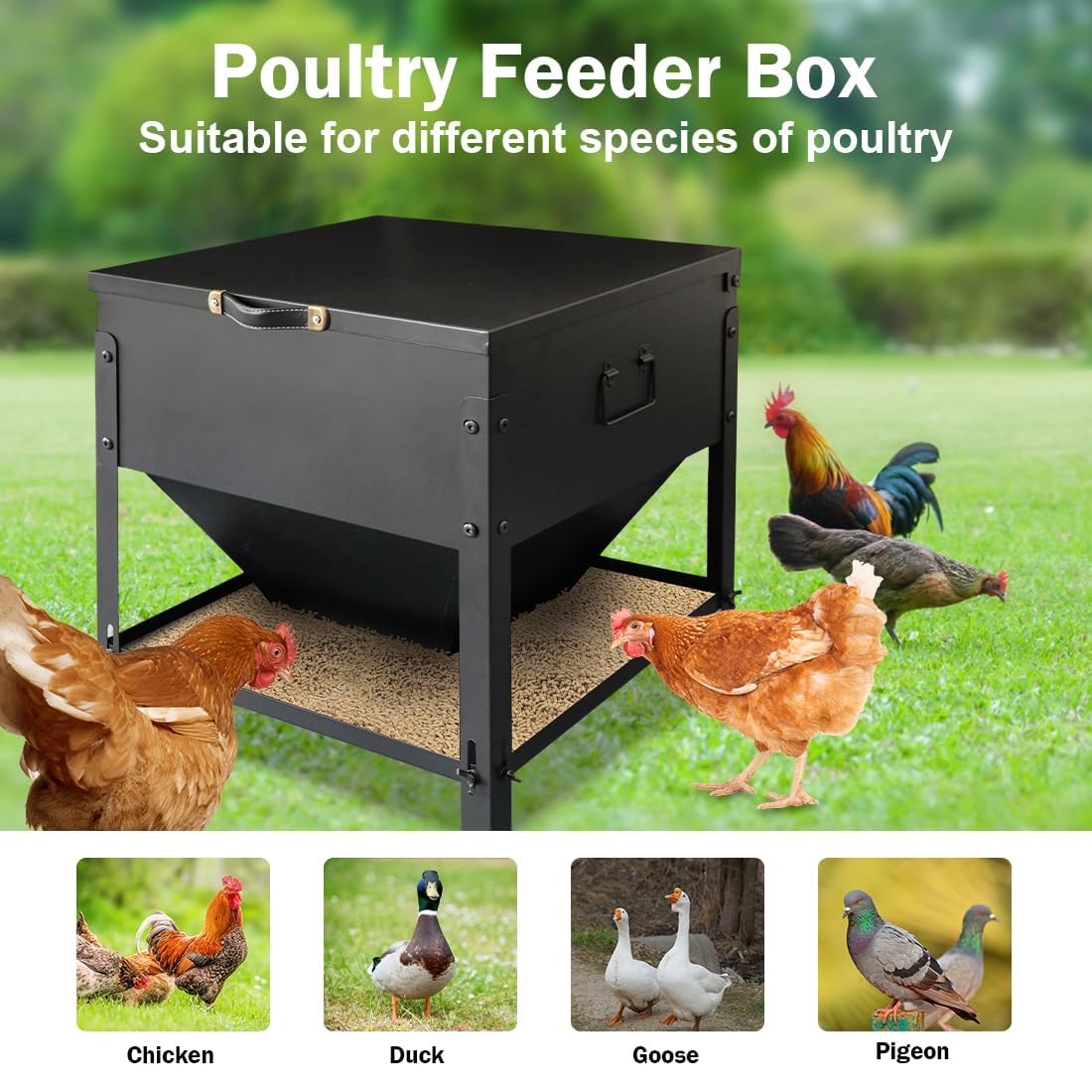 DOLEMODUO size comparison beside waterer illustrating scale and capacity advantage