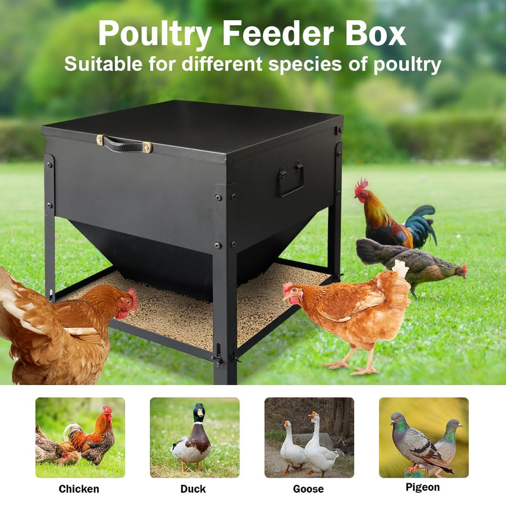DOLEMODUO size comparison beside waterer illustrating scale and capacity advantage